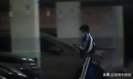 近期吃瓜事件爆料新闻视频,视频爆料背后的真相与争议